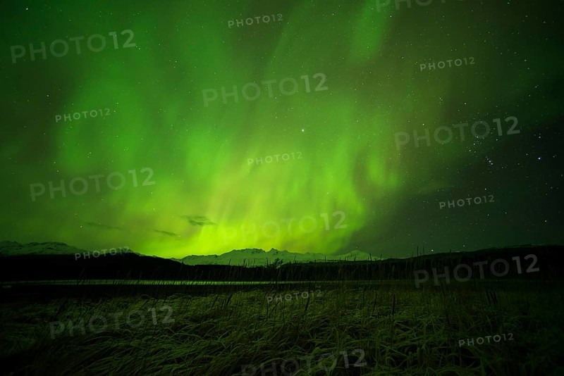 Aurora borealis over College Fjord