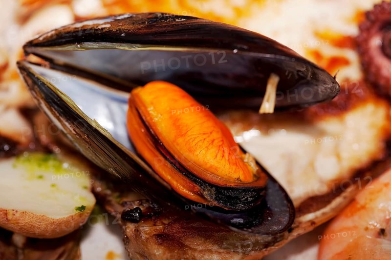 Cooked mussel on a plate