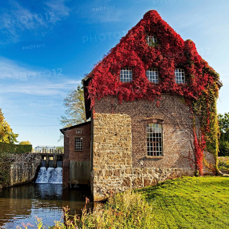 Tushaus Mill