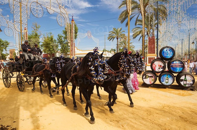 Decorated horses and dressed up coachmen at the Feria del Caballo Horse Fair