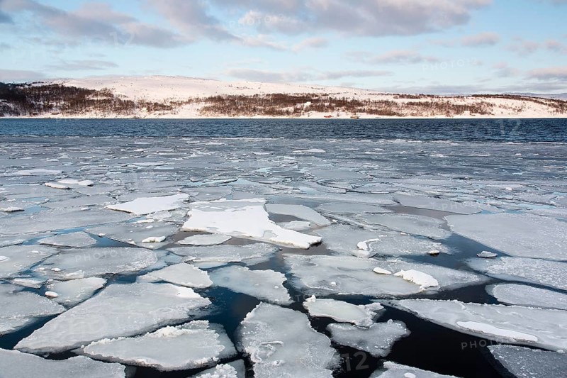 Barents Sea