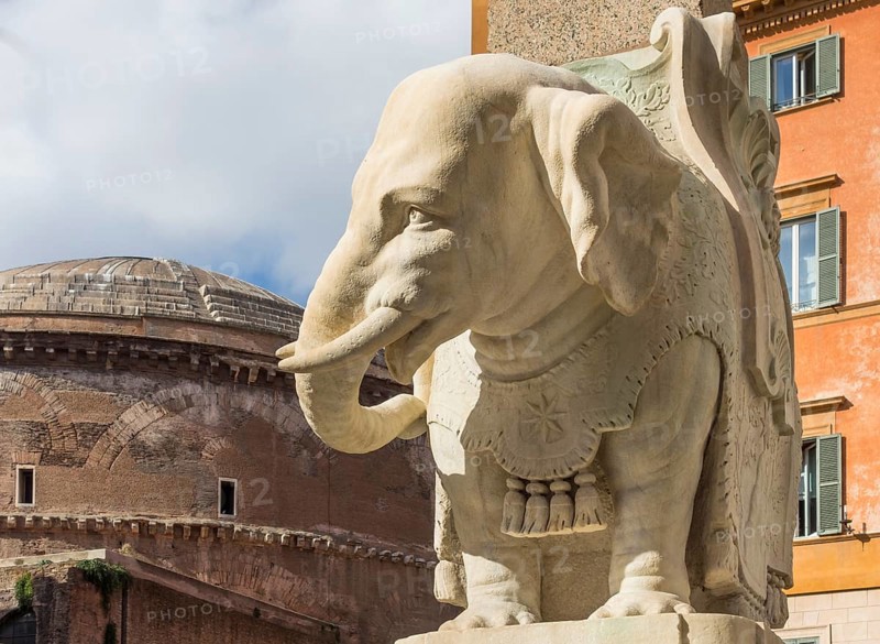 Bernini's Elephant