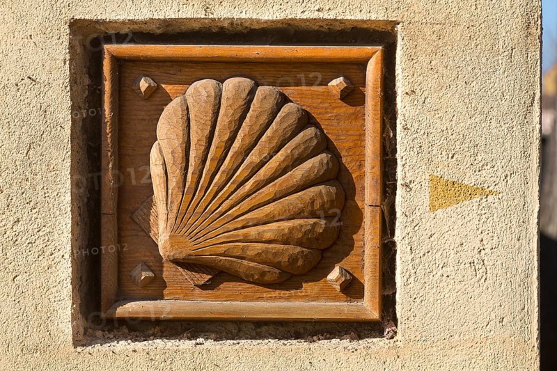 Wooden sign of a scallop