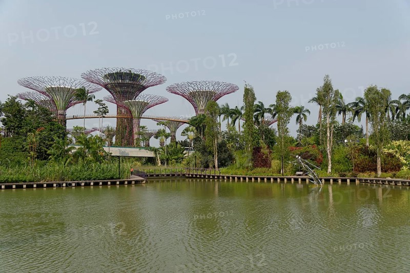 Supertrees