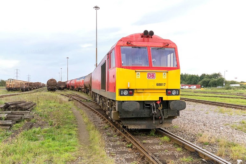 Freight train in the yard