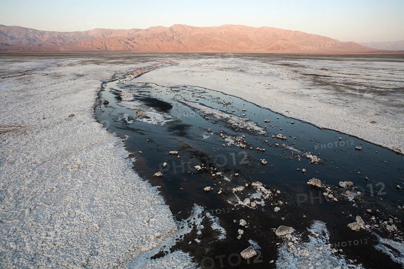 Salt marshes in the morning