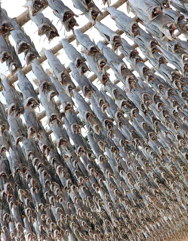 Framework with stockfish