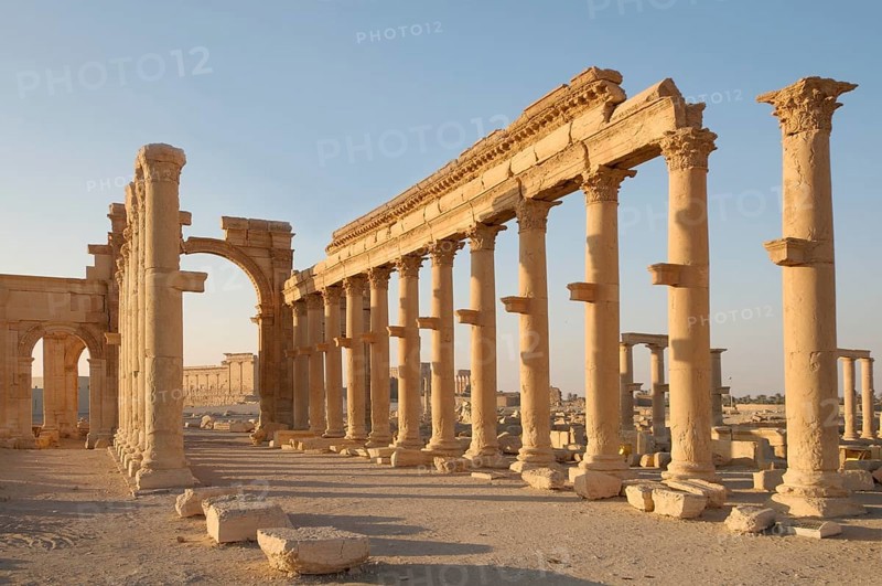 Ruins of the ancient city of Palmyra in the morning light