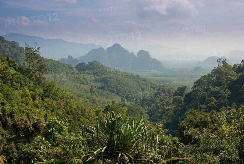Mountain landscape