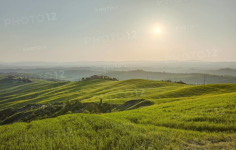 Hilly landscape of the Crete Senesi
