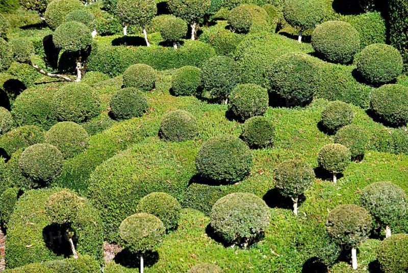 Les Jardins suspendus de Marqueyssac gardens