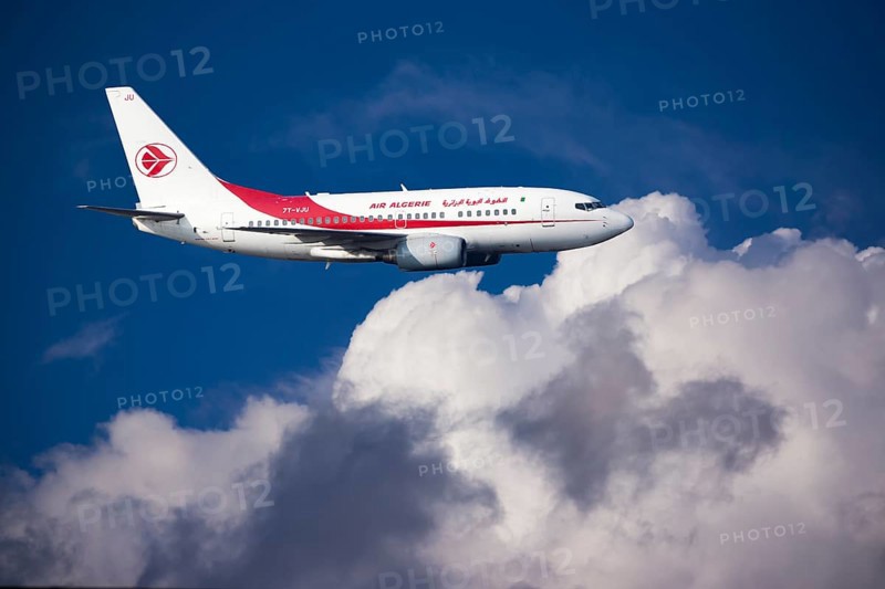 Air Algerie Boeing 737-6D6 in flight