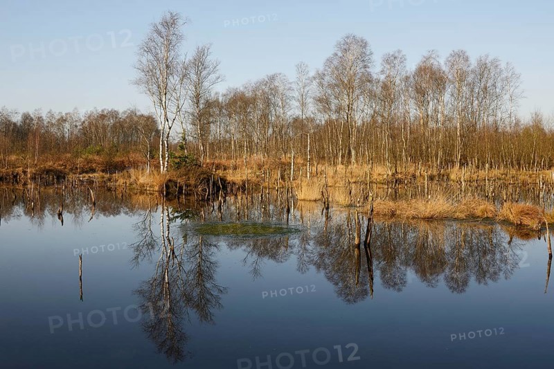 Rewetted moor