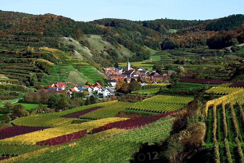 A wine village and cultural landscape in autumn