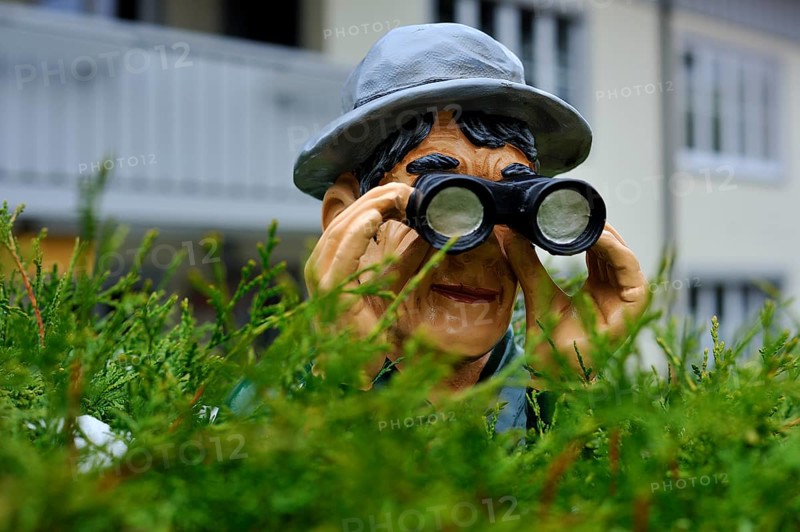 Figure with a hat and binoculars looking over a hedge