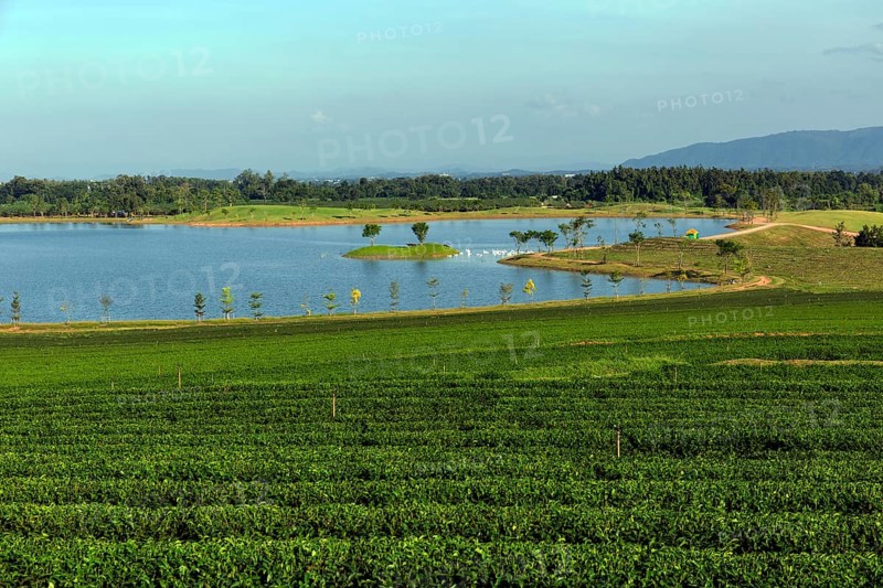 Boon Rawd Farm