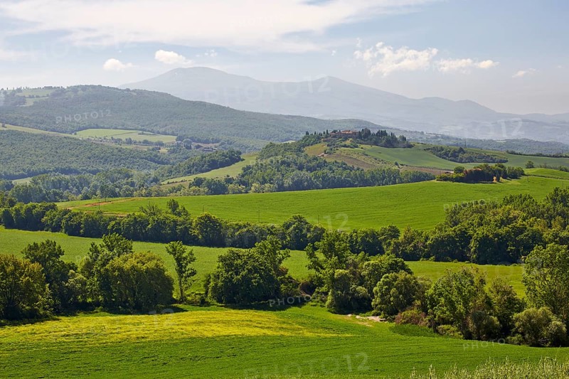 Hilly landscape of the Crete Senesi