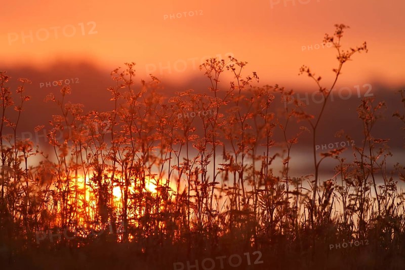 Sunrise on the Lower Weser River