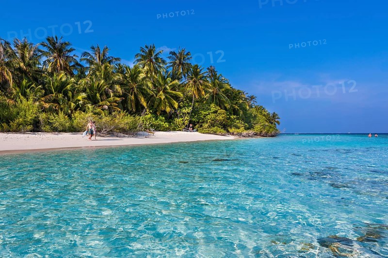 Beach with palms