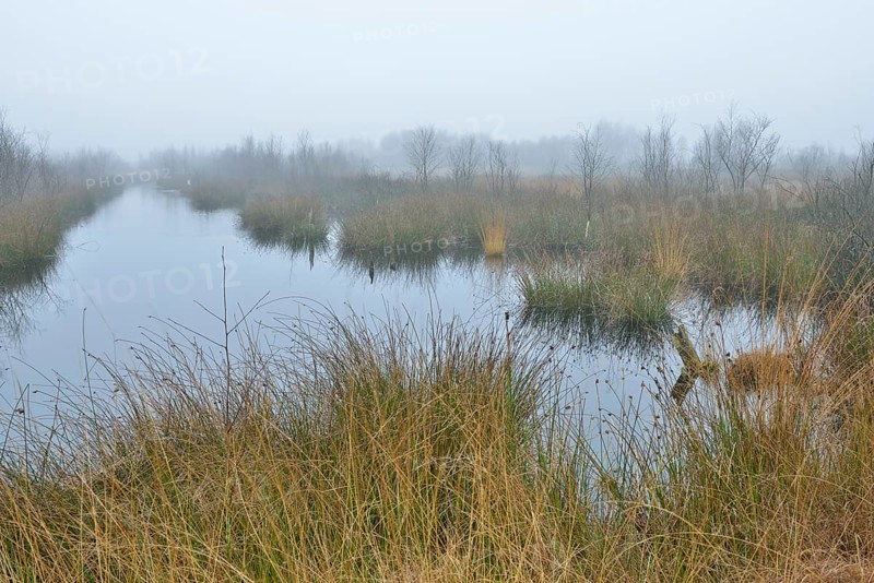 High moor in autumn
