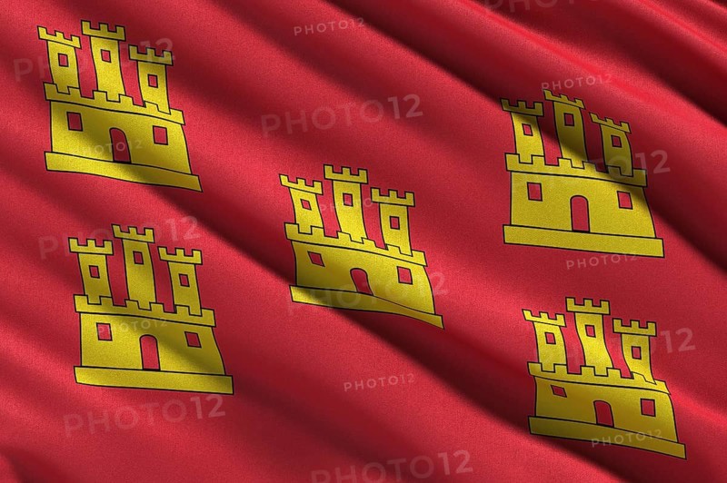 Flag of Poitou-Charentes