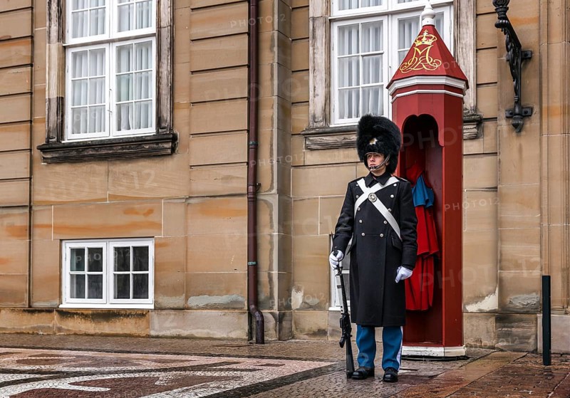 Royal Life Guards
