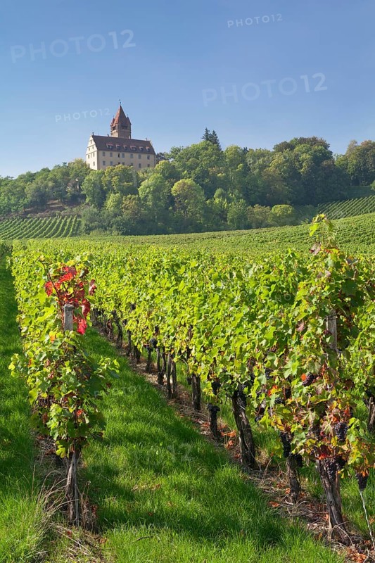 Stocksberg Castle