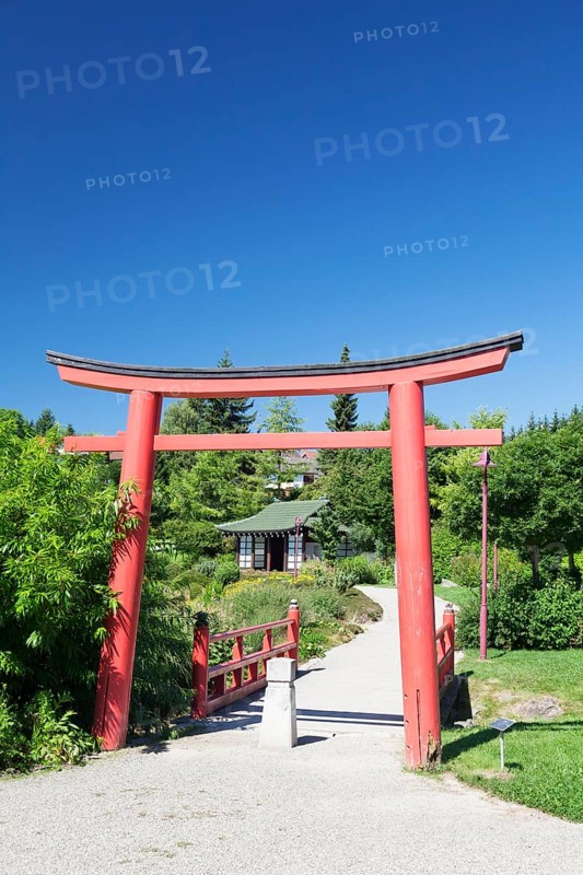 Japanese Garden