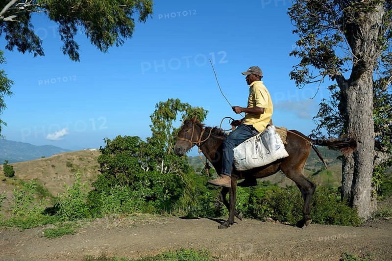 Man riding a donkey