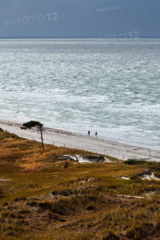 View on the western beach of Darsser Ort