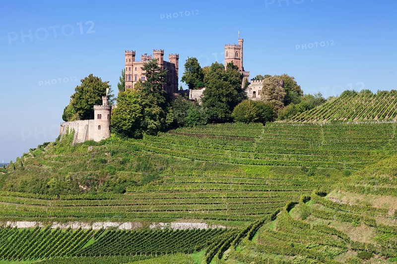 Schloss Ortenberg