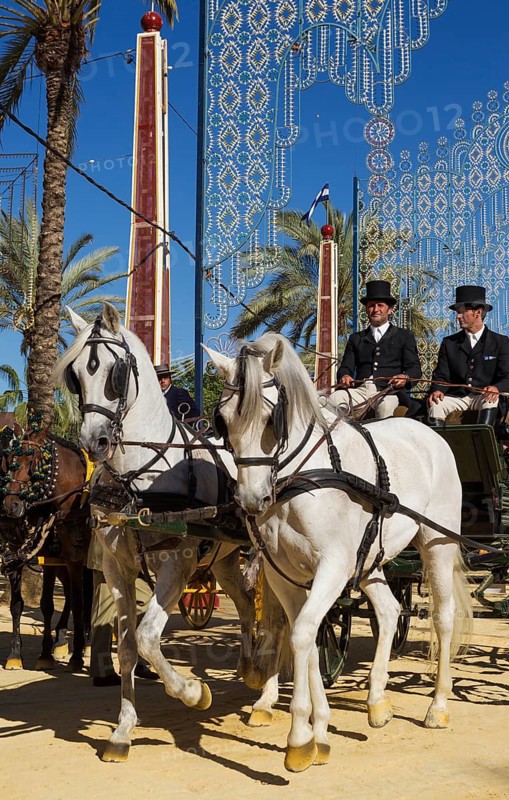 Decorated horses and dressed up coachmen at the Feria del Caballo Horse Fair