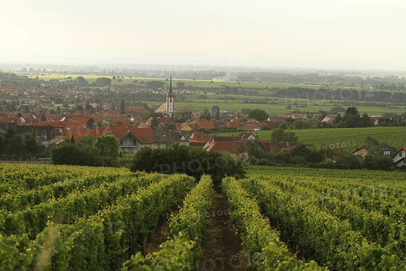 The village of Maikammer