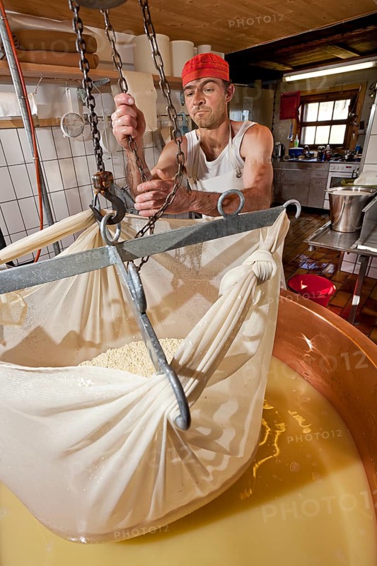 Dairyman raising the cloth with cottage cheese from the copper kettle to drain off the whey