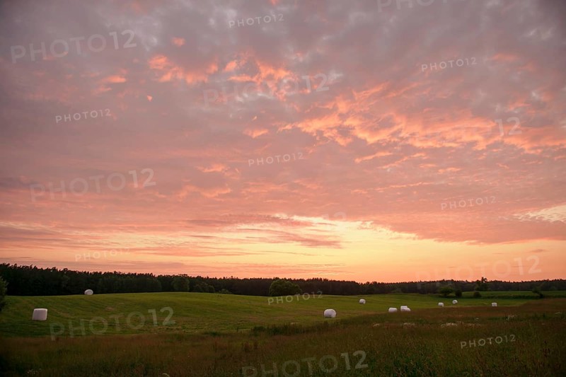 Hay bales on a mown meadow in the evening