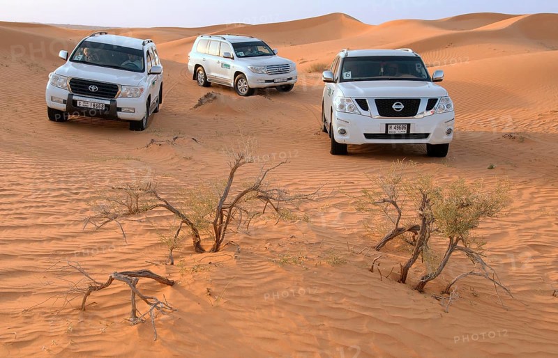 Jeep safari