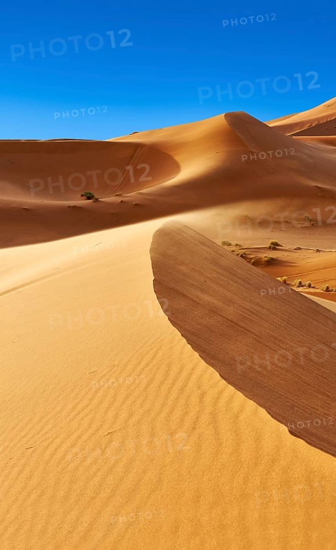 Sahara sand dunes of erg Chebbi