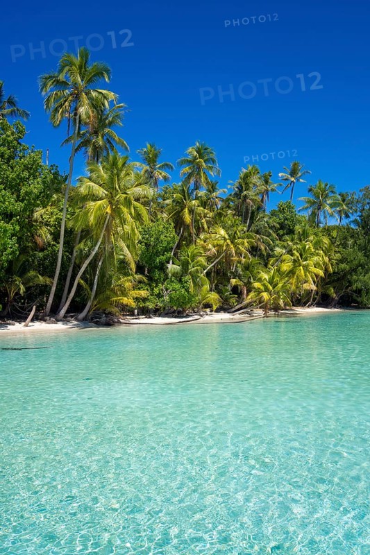 Lagoon with a sandy beach and palm trees