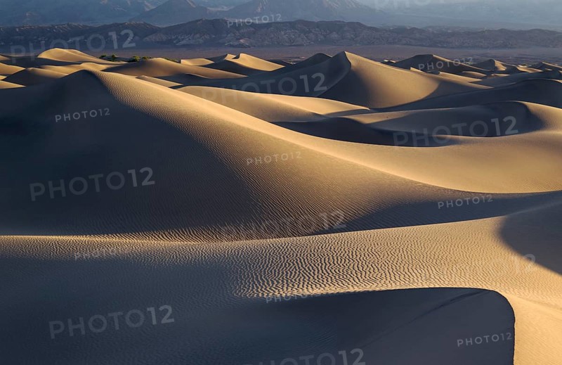 Mesquite Flat Sand Dunes in the early morning