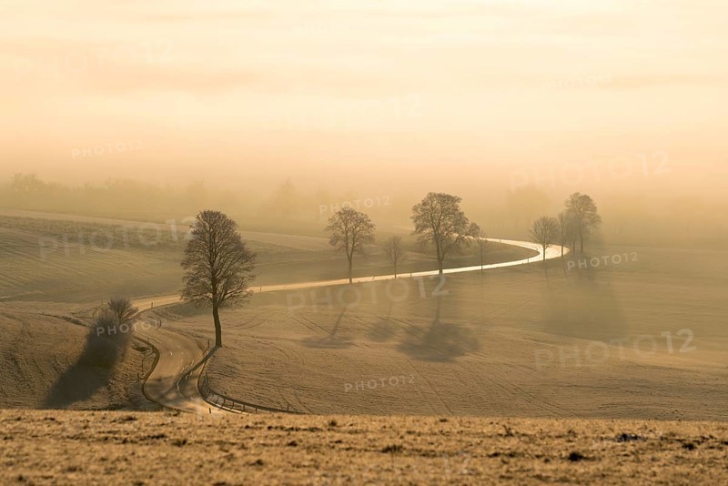 Early morning at Witthoh ridge
