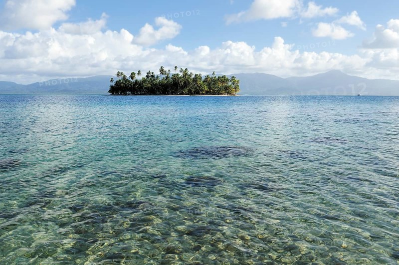 Tropical island with palm trees