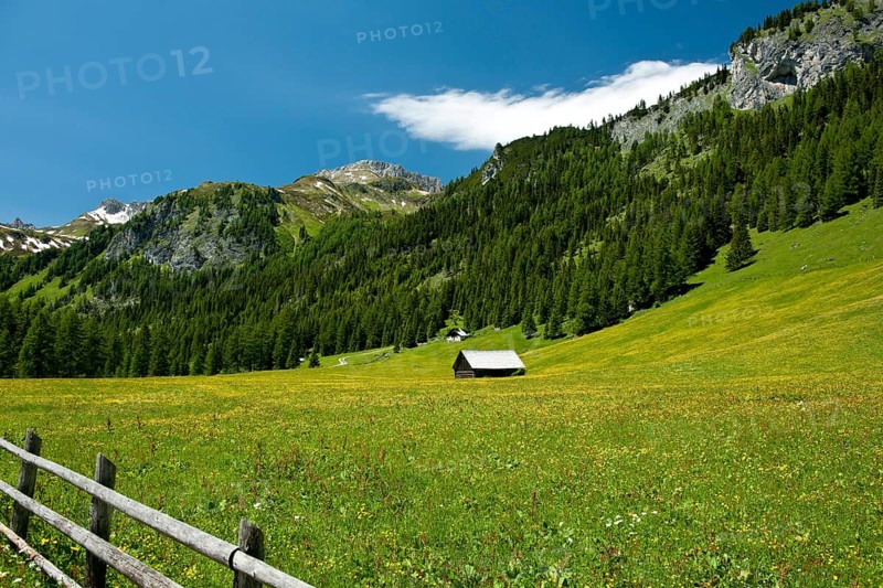 Mountain hut