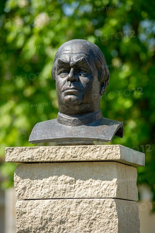 Bust
