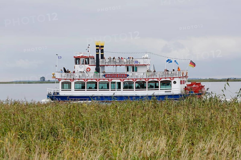 Paddle steamer
