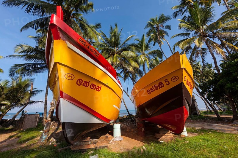 Ships of a shipbuilder