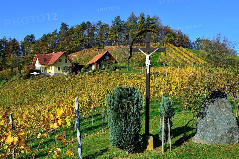 Wayside shrine in the vineyards