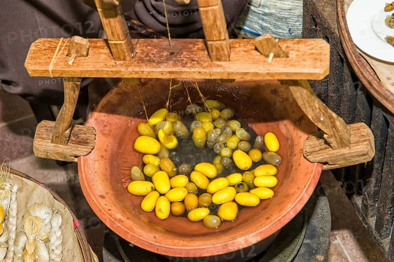Extraction of silk wires from cocoon