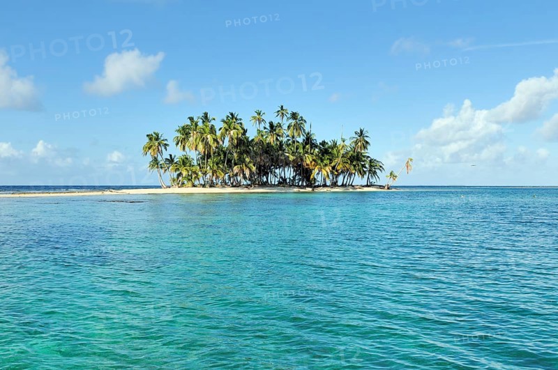 Tropical island with palm trees