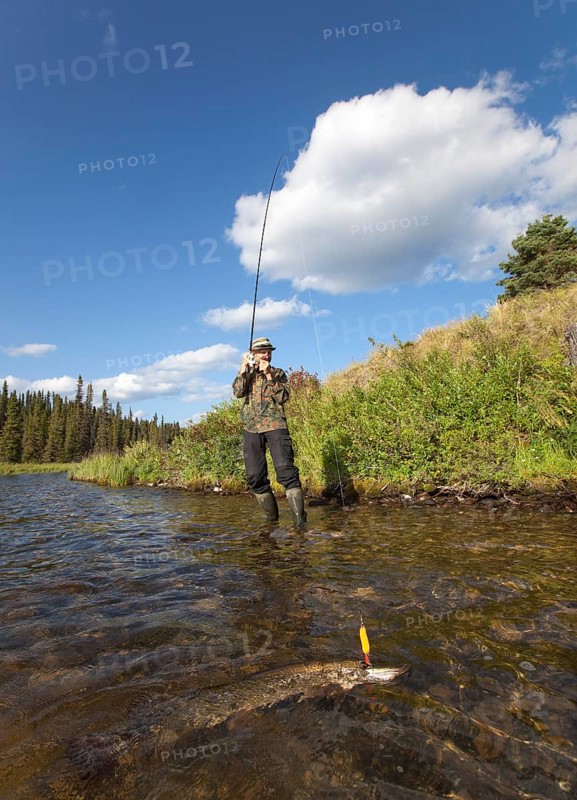 Man spin fishing for Northern Pike (Esox lucius)