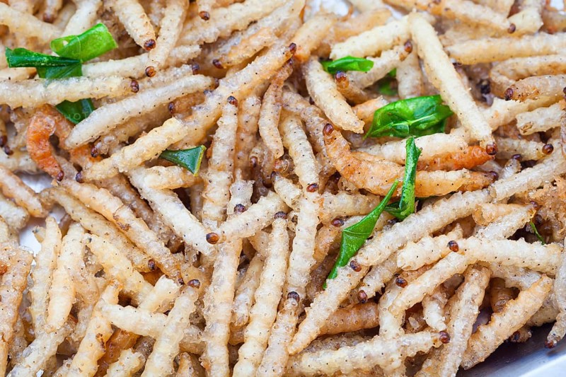 Deep-fried bamboo worms garnished with scallion leaves